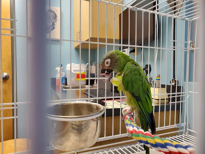 Avian and Exotic Animal Care 6