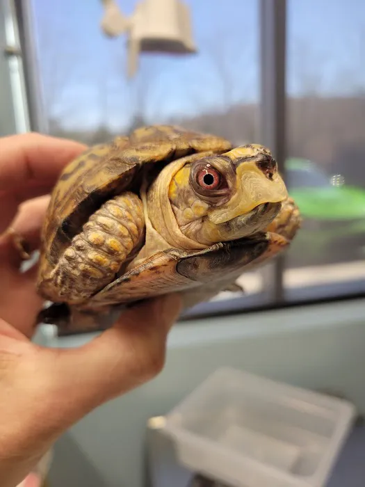 Avian and Exotic Animal Care 7