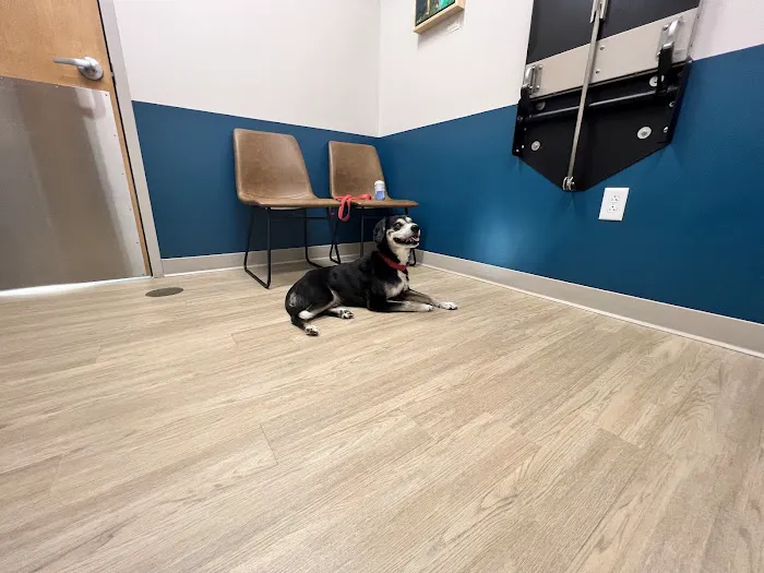 Truss Vet - Veterinary Urgent Care 1