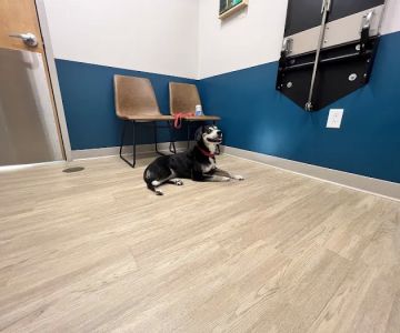 Truss Vet - Veterinary Urgent Care