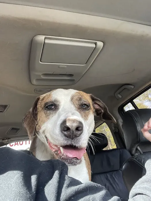 Truss Vet - Veterinary Urgent Care 8