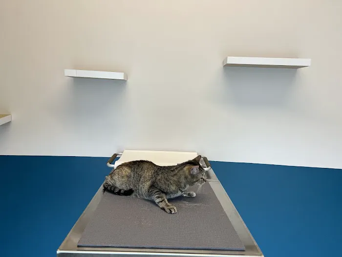Truss Vet - Veterinary Urgent Care 9