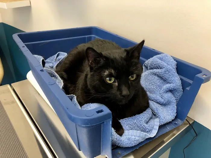 Truss Vet - Veterinary Urgent Care 6