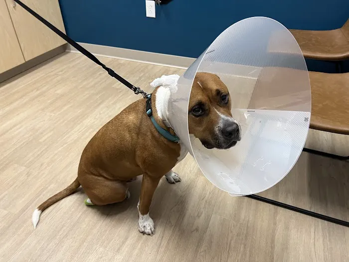 Truss Vet - Veterinary Urgent Care 5