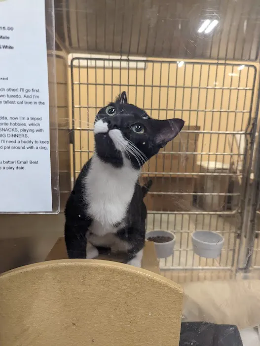 Banfield Pet Hospital 5