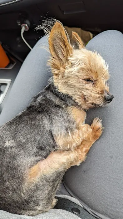 Banfield Pet Hospital 3