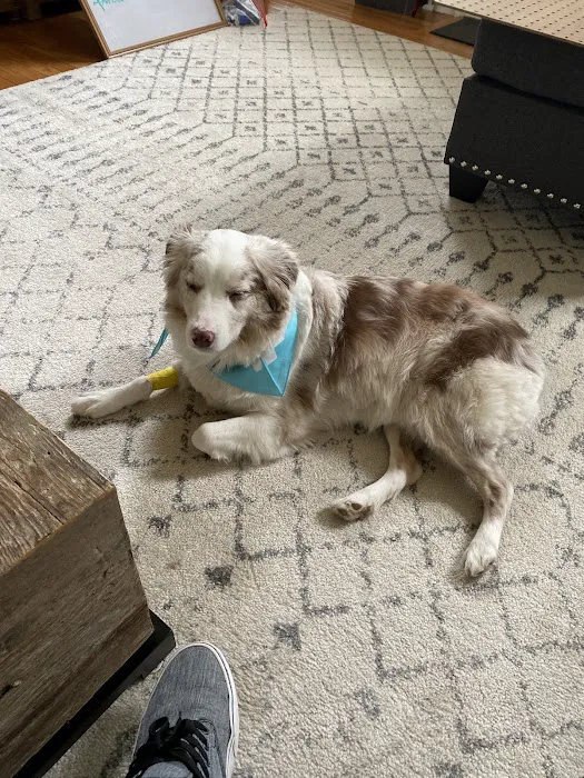 Banfield Pet Hospital 4