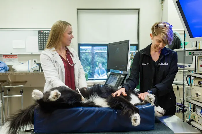 Gentle Care Animal Hospital at Tryon 4