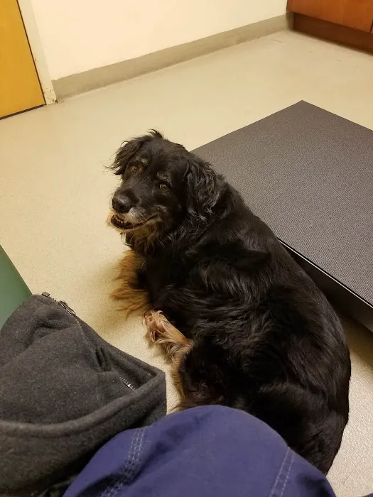 Middle Creek Veterinary Hospital & Exotic Animal Clinic 5