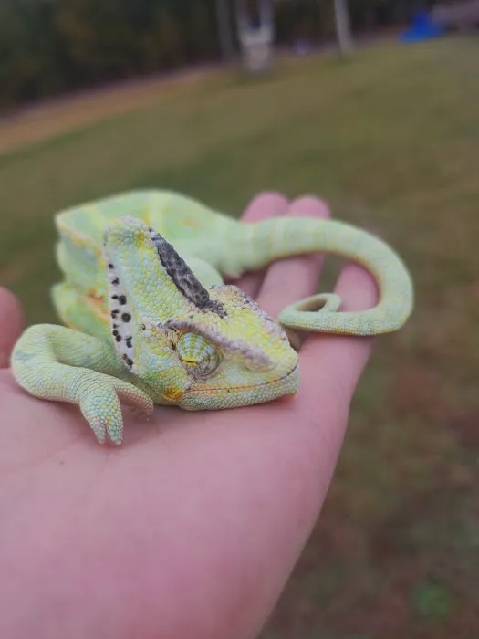 Middle Creek Veterinary Hospital & Exotic Animal Clinic 2