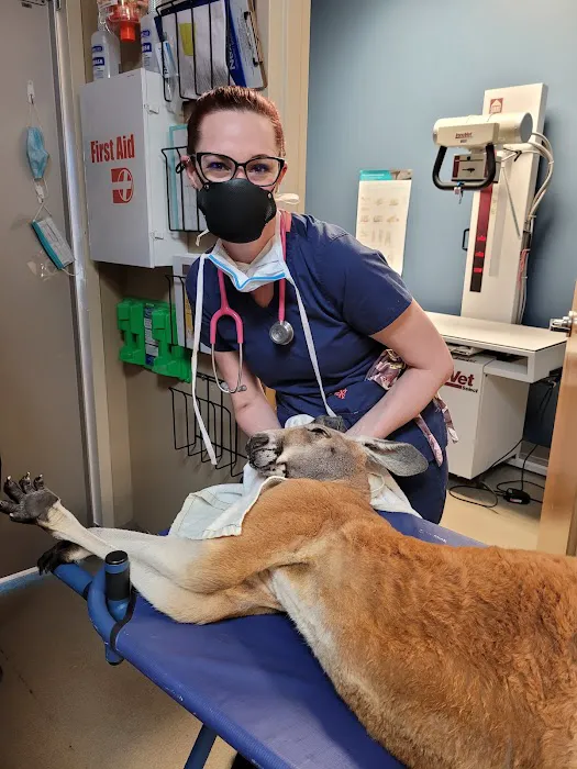 Middle Creek Veterinary Hospital & Exotic Animal Clinic 7
