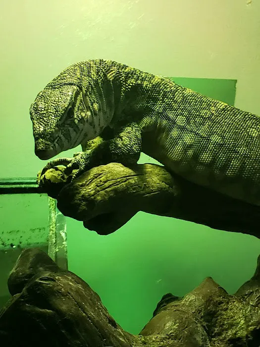 Middle Creek Veterinary Hospital & Exotic Animal Clinic 10