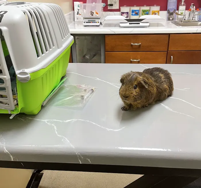 Middle Creek Veterinary Hospital & Exotic Animal Clinic 9