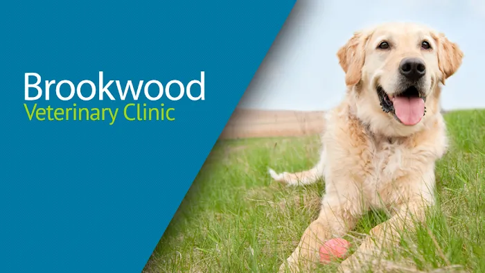 Brookwood Veterinary Clinic 10