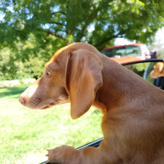 Brookwood Veterinary Clinic 8