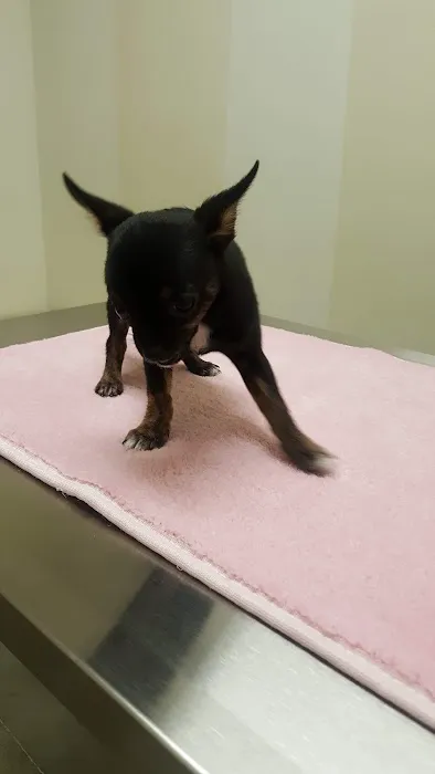 Vetco Total Care Animal Hospital 1