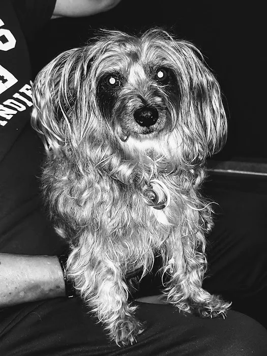 Vetco Total Care Animal Hospital 9