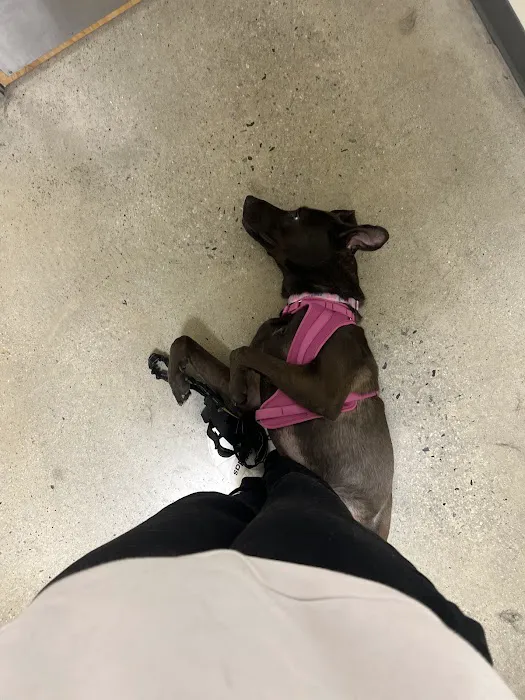 Vetco Total Care Animal Hospital 7