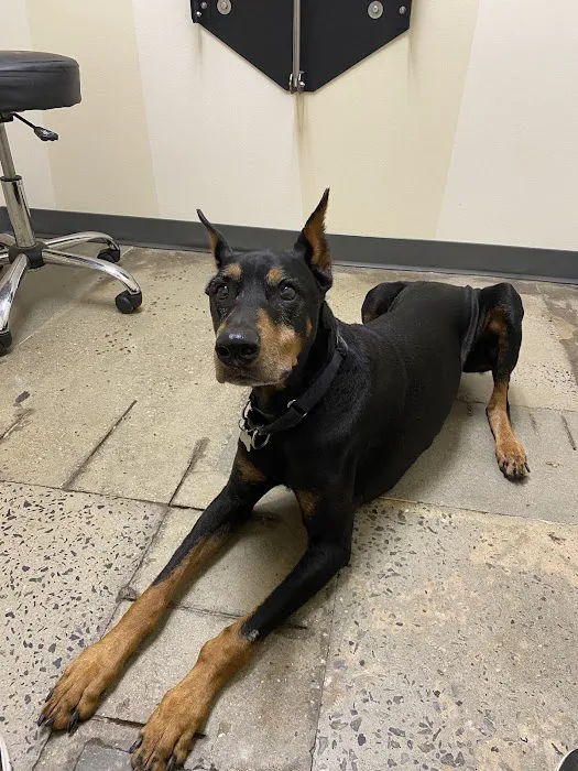 Vetco Total Care Animal Hospital 5