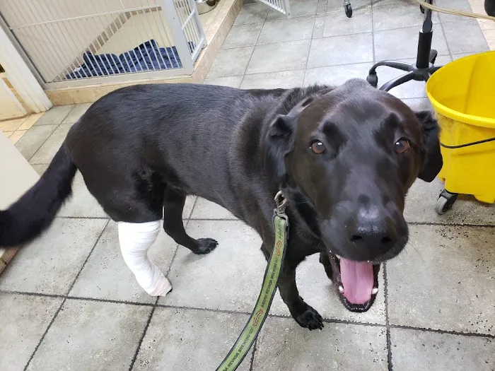 Crossroads Veterinary Hospital 9