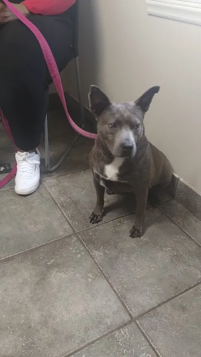 Crossroads Veterinary Hospital 5