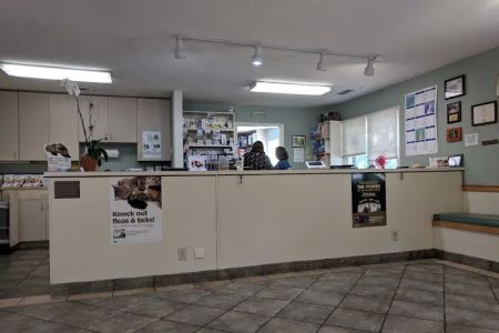 Crossroads Veterinary Hospital