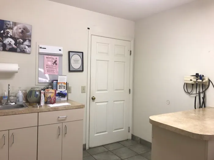 Crossroads Veterinary Hospital 2