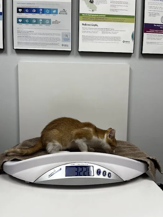 Cary Veterinary Hospital 3