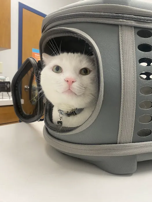 Cary Veterinary Hospital 2