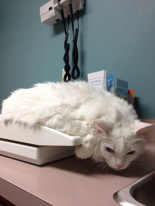 Southern Oaks Animal Hospital 9