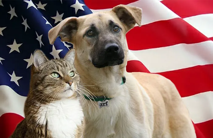 Southern Oaks Animal Hospital 2