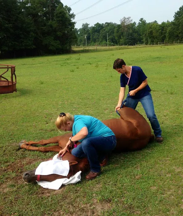Southern Oaks Animal Hospital 7