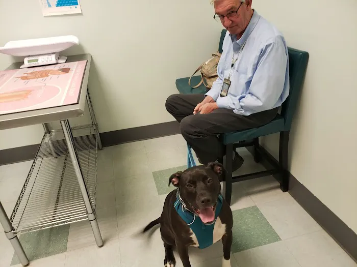 Family Pet Animal Hospital 5