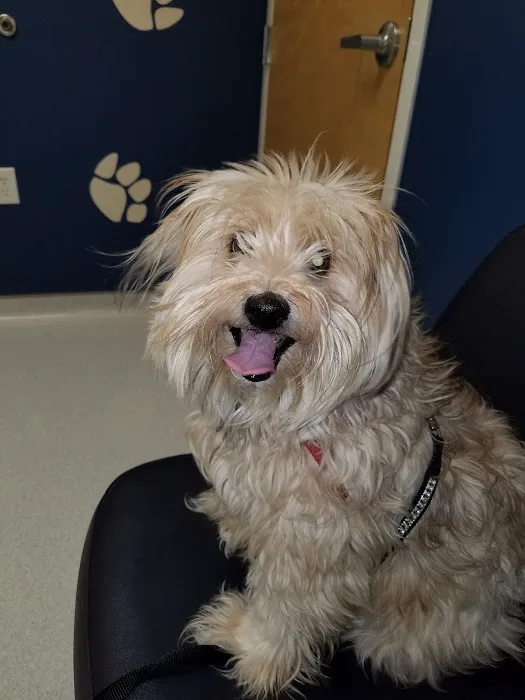 Cleveland School Animal Hospital 5