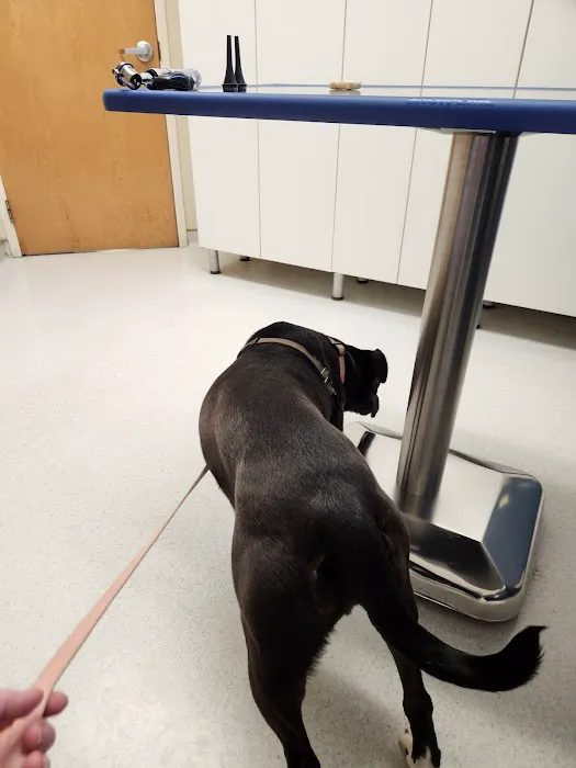 Cleveland School Animal Hospital 3