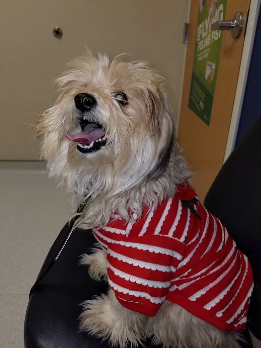 Cleveland School Animal Hospital 6