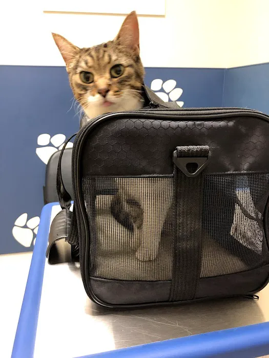 Cleveland School Animal Hospital 7