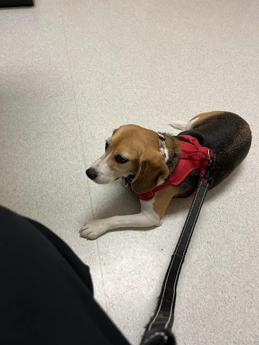 Cleveland School Animal Hospital 9