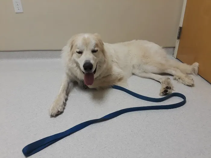 Cleveland School Animal Hospital 8