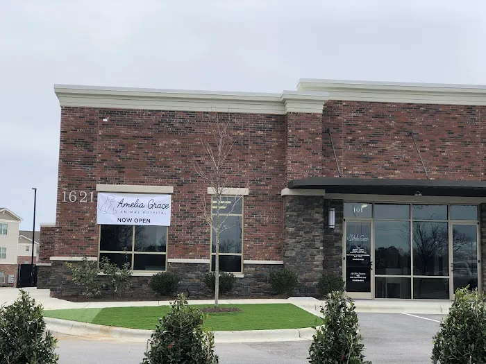Amelia Grace Animal Hospital 5