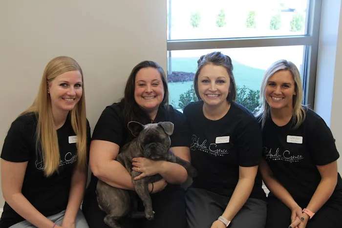 Amelia Grace Animal Hospital 1