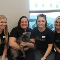 Amelia Grace Animal Hospital ico