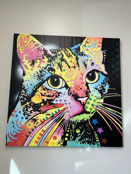 Amelia Grace Animal Hospital 9