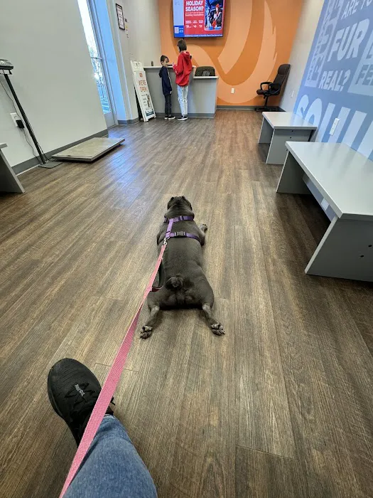 VetIQ Petcare 9