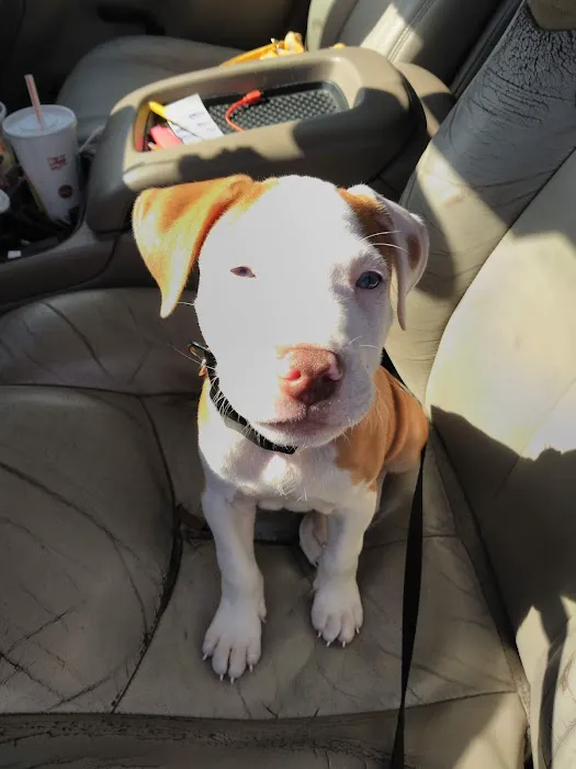 Banfield Pet Hospital 4