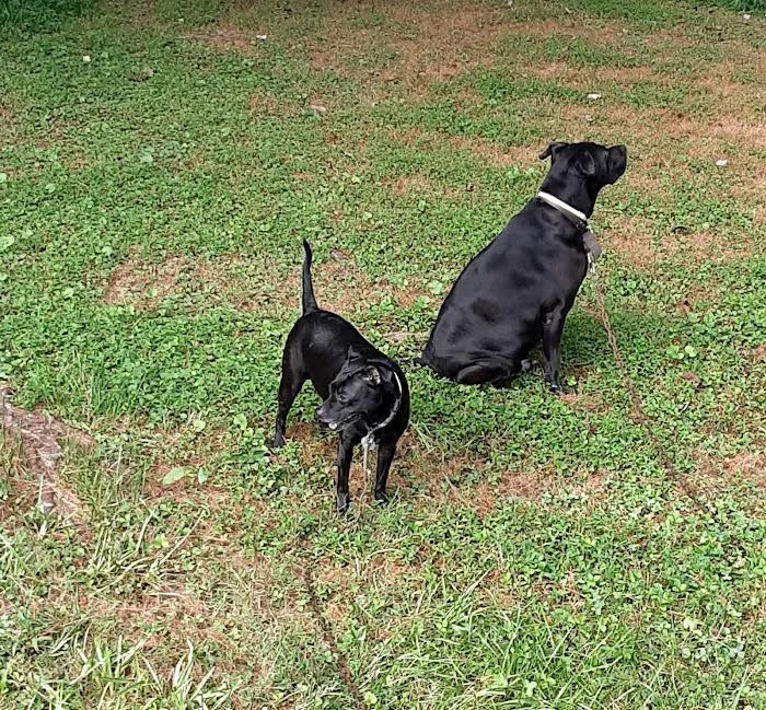 Banfield Pet Hospital 8