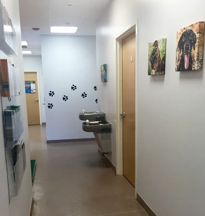 AMC of Garner Veterinary Hospital 1