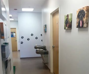 AMC of Garner Veterinary Hospital