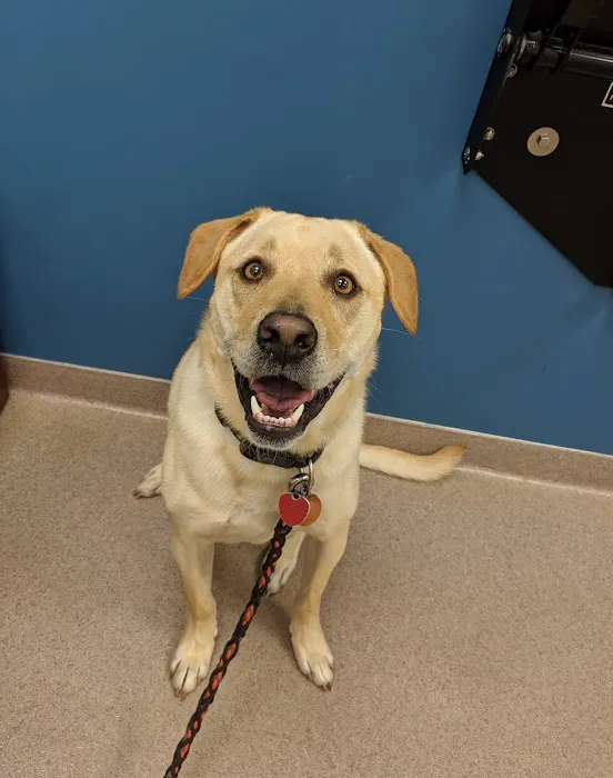 AMC of Garner Veterinary Hospital 8