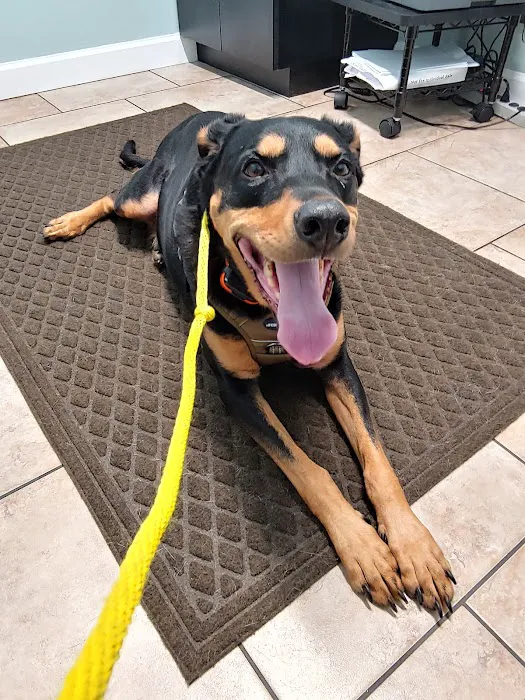 Clayton Animal Hospital 4